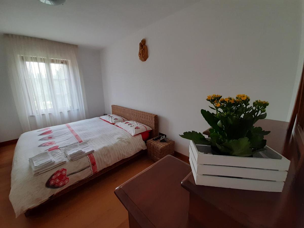 San Marcello Residence Feltre Extérieur photo