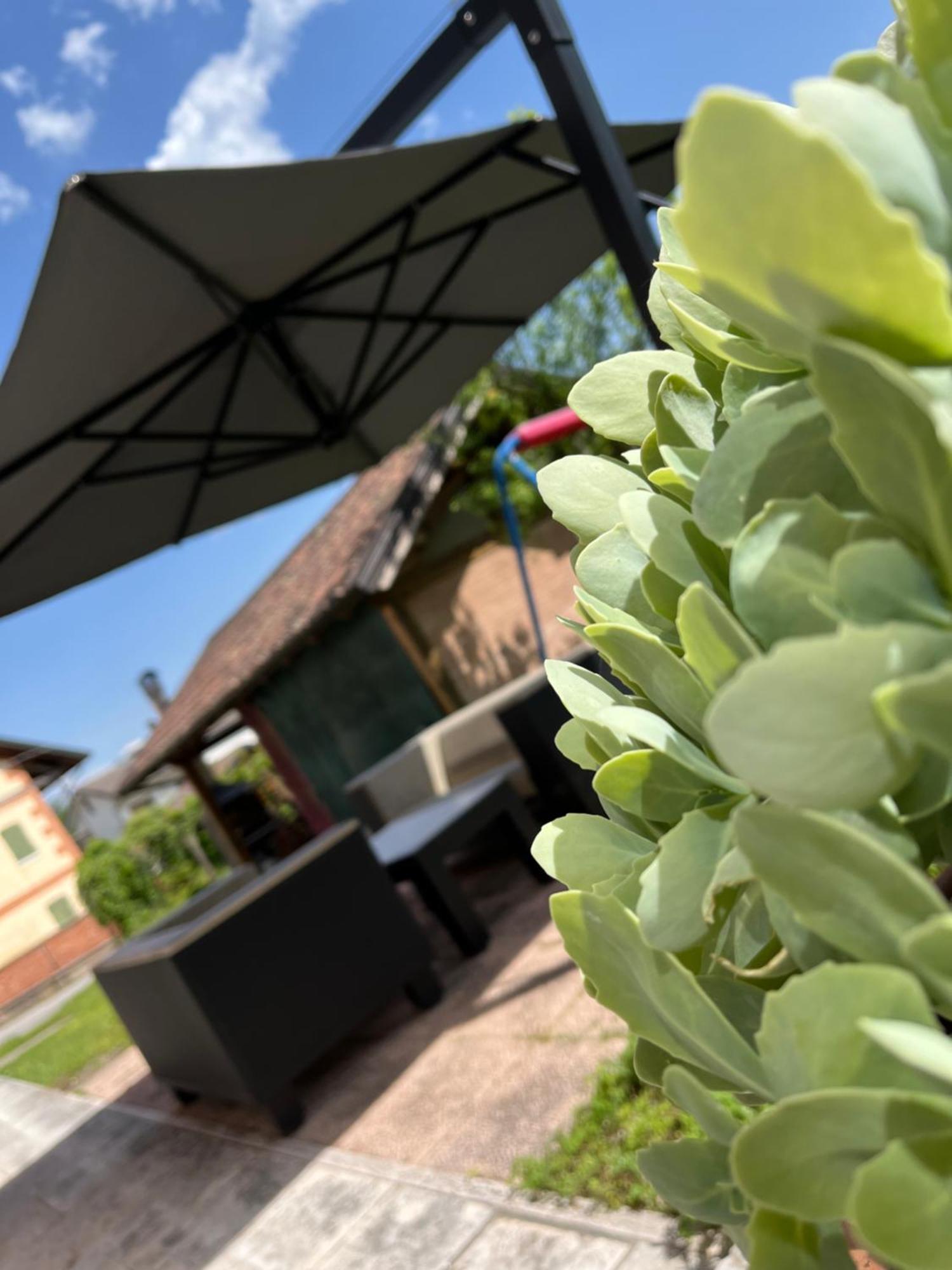 San Marcello Residence Feltre Extérieur photo